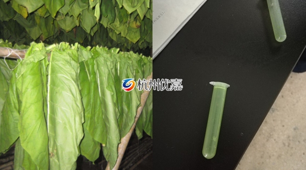 杭州宋慈多樣品研磨珠勻質(zhì)器研磨煙葉實驗說明