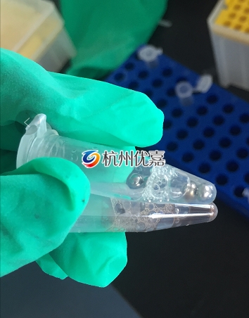 宋慈全自動樣品研磨儀研磨動物組織，提取RNA實驗